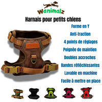 Le meilleur des harnais anti-traction pour petits chiens de forme Y disponibles en différentes couleurs
