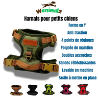 Les meilleurs harnais anti-traction pour petits chiens avec poignée de maintien disponibles en différentes couleurs