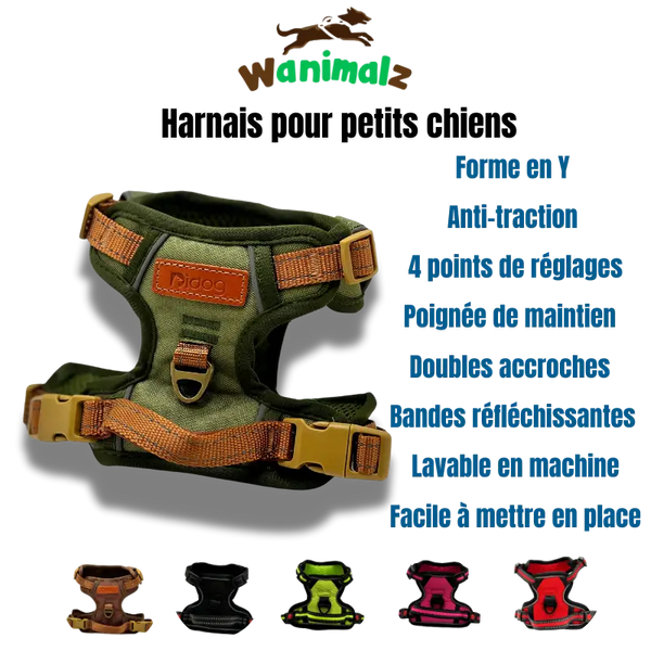 Les meilleurs harnais anti-traction pour petits chiens avec poignée de maintien disponibles en différentes couleurs
