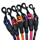 Laisse pour chien en corde résistante, mousqueton renforcé Wanimalz