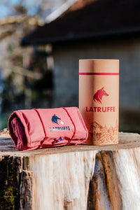 Trousse de premiers secours pour chien