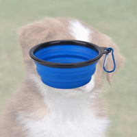 Bol pliable bleu pour votre chien lors des balades randonnées. pratique, simple, efficace
