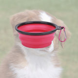 Bol pliable rose pour votre chien lors des balades randonnées. pratique, simple, efficace