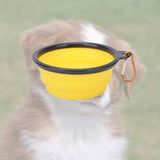 Bol pliable jaune pour votre chien lors des balades randonnées. pratique, simple, efficace
