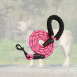 Laisse réfléchissante de 1,5m de couleur rose pour chien avec sa poignée confortable