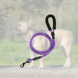 Laisse réfléchissante de 1,5m de couleur violette pour chien avec sa poignée confortable