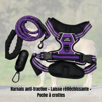 kit harnais pour chien, wanimalz en violet. disponible en taille S au XL