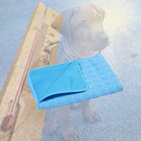 Tapis rafraîchissant pour le chien, disponible en bleu et pour les petits et grands chiens