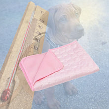 Tapis rafraîchissant pour le chien, disponible en rose et pour les petits et grands chiens